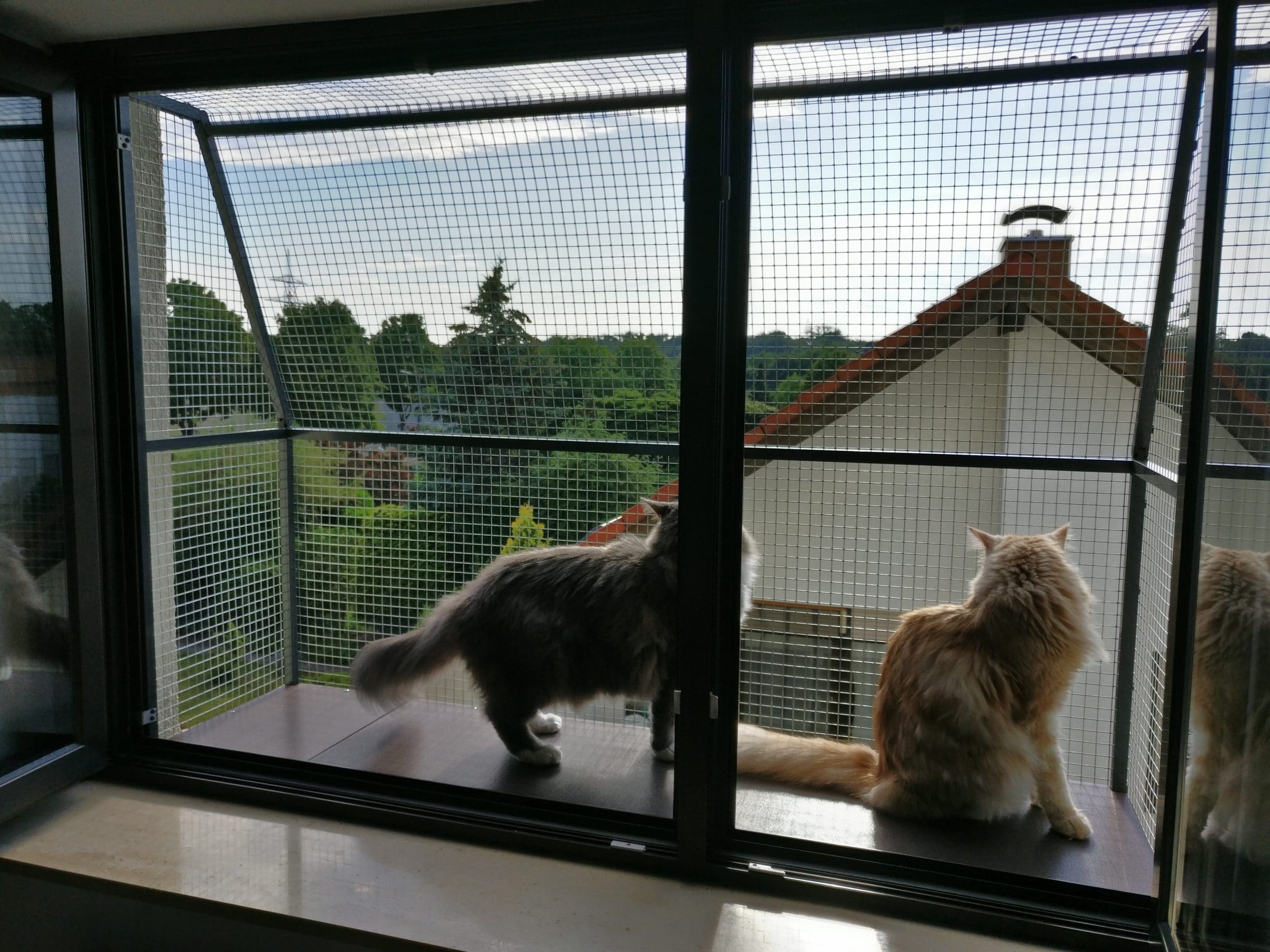 Katzennetz als Fensterschutz