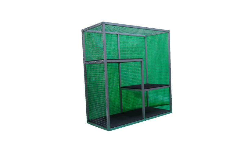 Katzenfenster ausblick