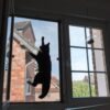 Katzensicheres fliegengitter