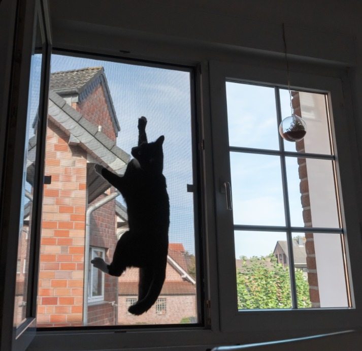 Katzensicheres fliegengitter